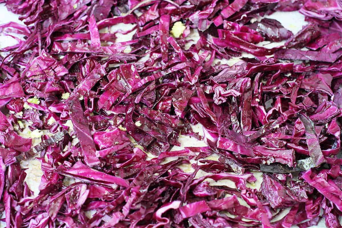 shredded red cabbage (1)