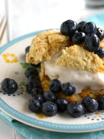 vegan blueberry shortcake