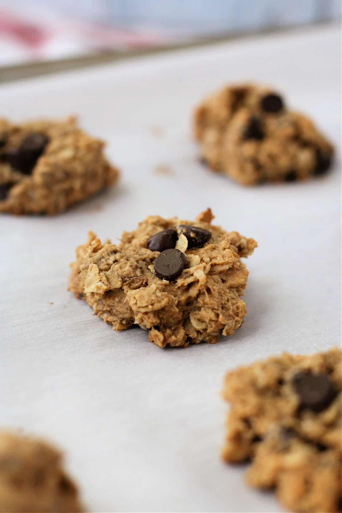 vegan gluten free chocolate chip oatmeal breakfast cookies
