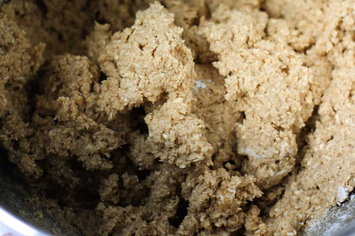 oatmeal cookie dough after mixing