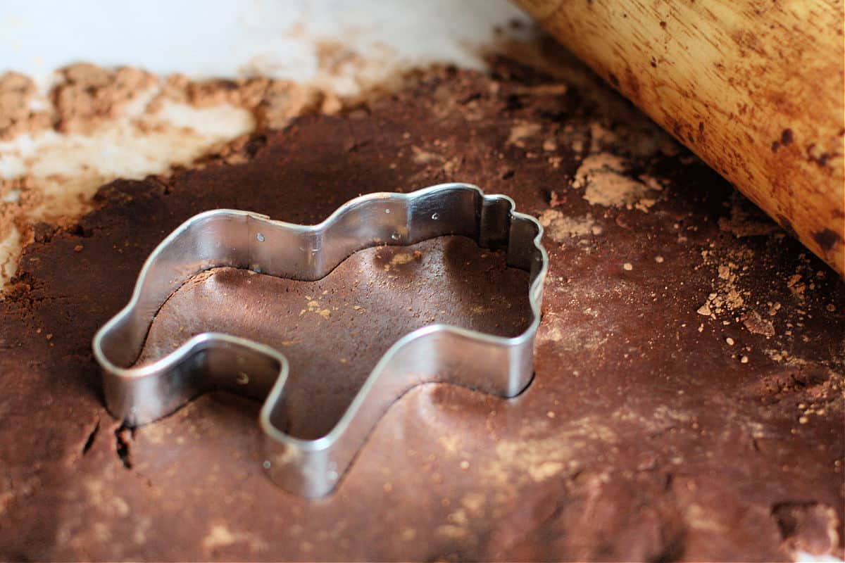 chocolate cookie dough with cookie cutter