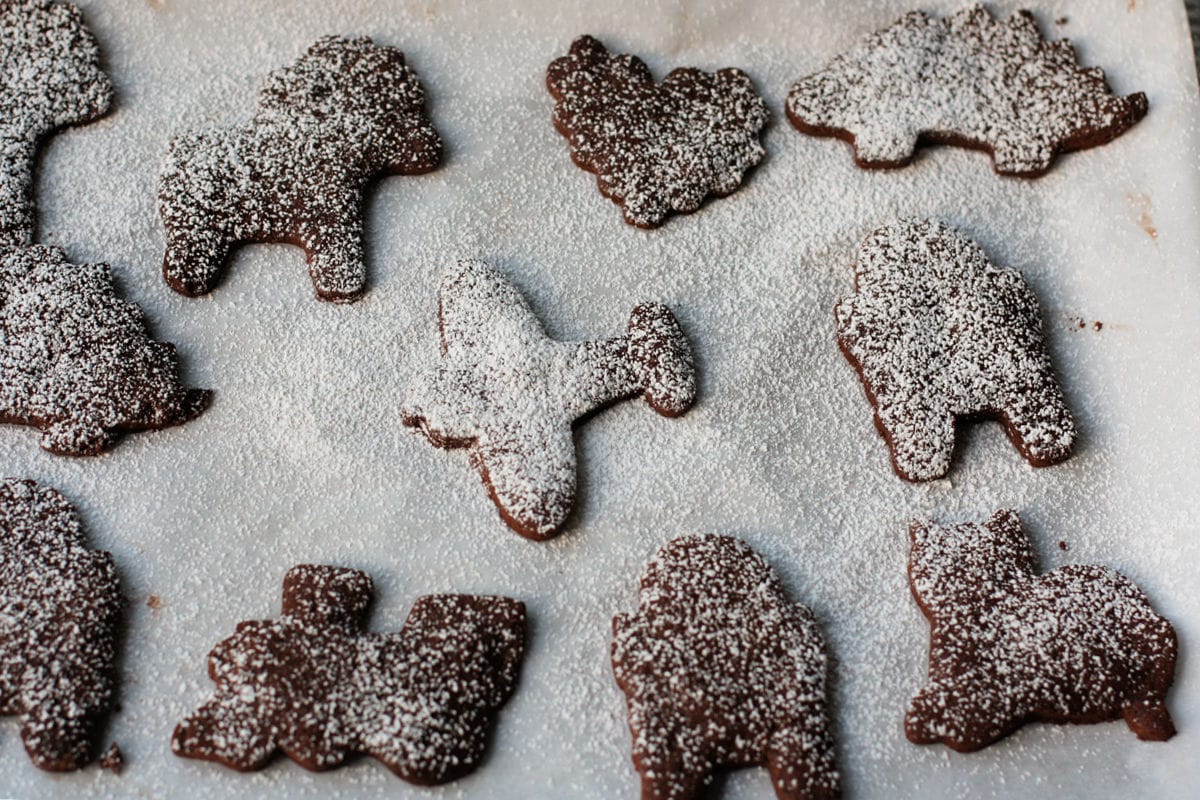 chocolate sugar cookies dusted with powdered sugar