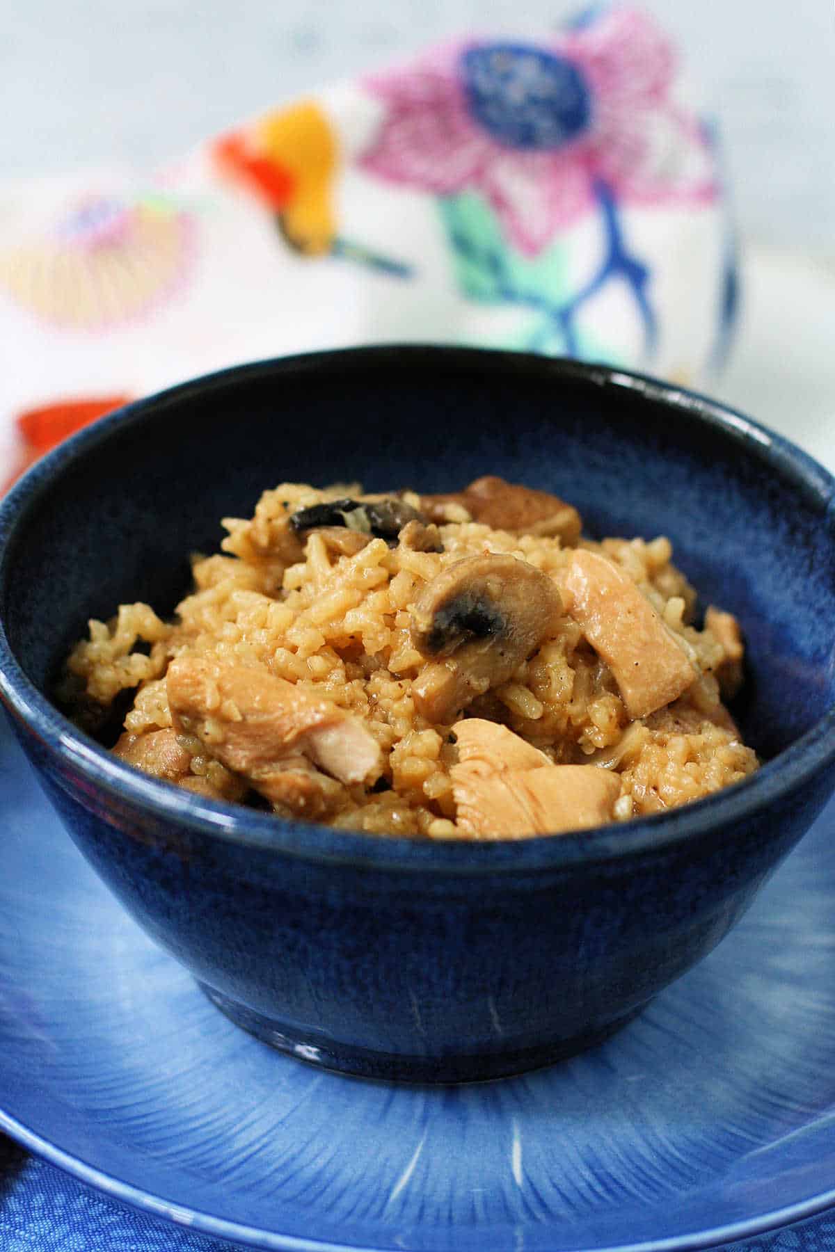 dairy free gluten free chicken mushroom rice