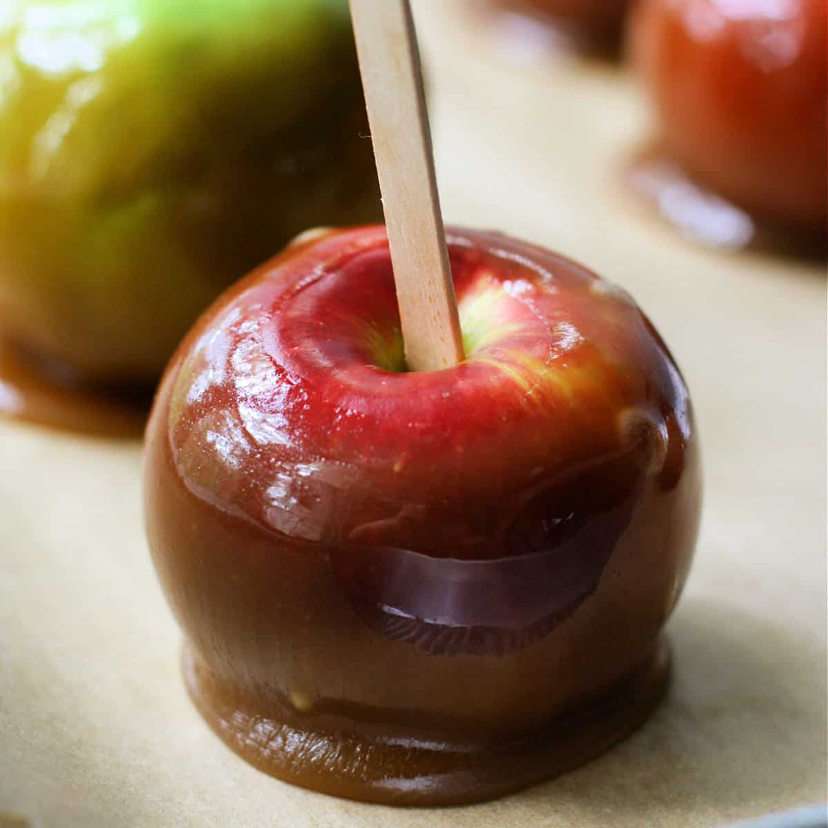 the-best-vegan-dairy-free-