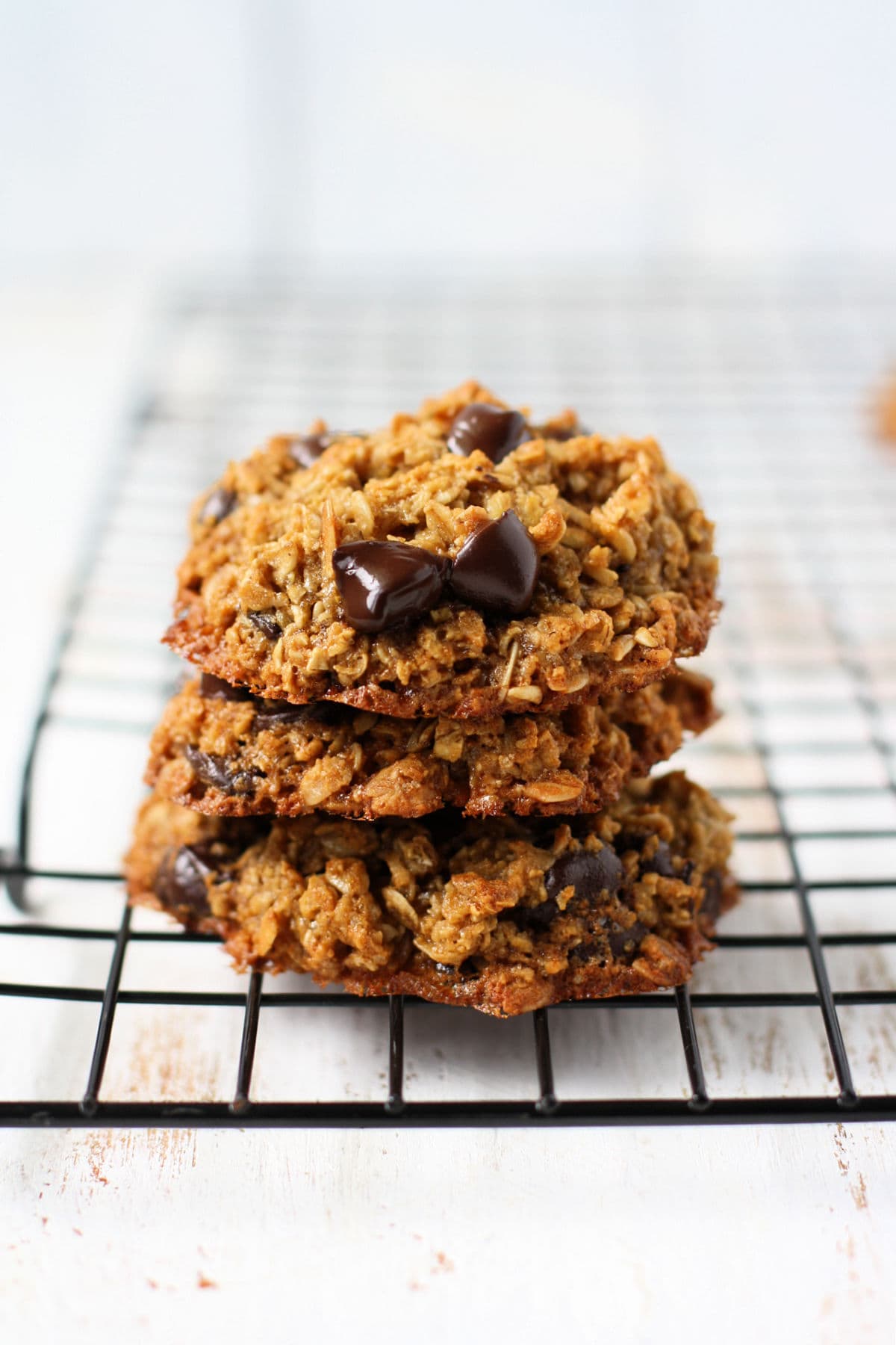 chocolate chip oatmeal cookies