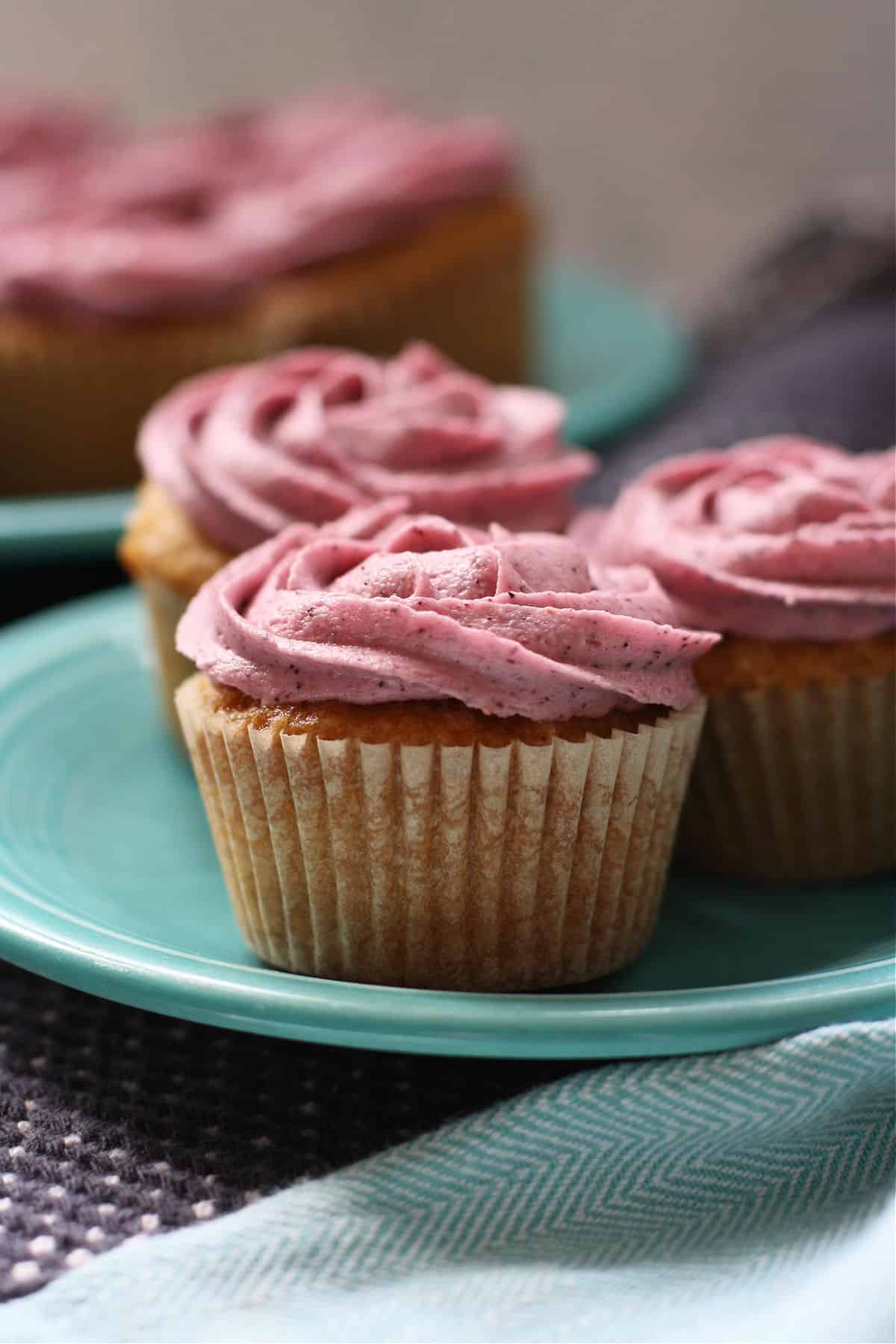 vegan vanilla cupcakes with blueberry frosting