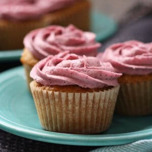 vegan vanilla cupcakes with dairy free blueberry frosting