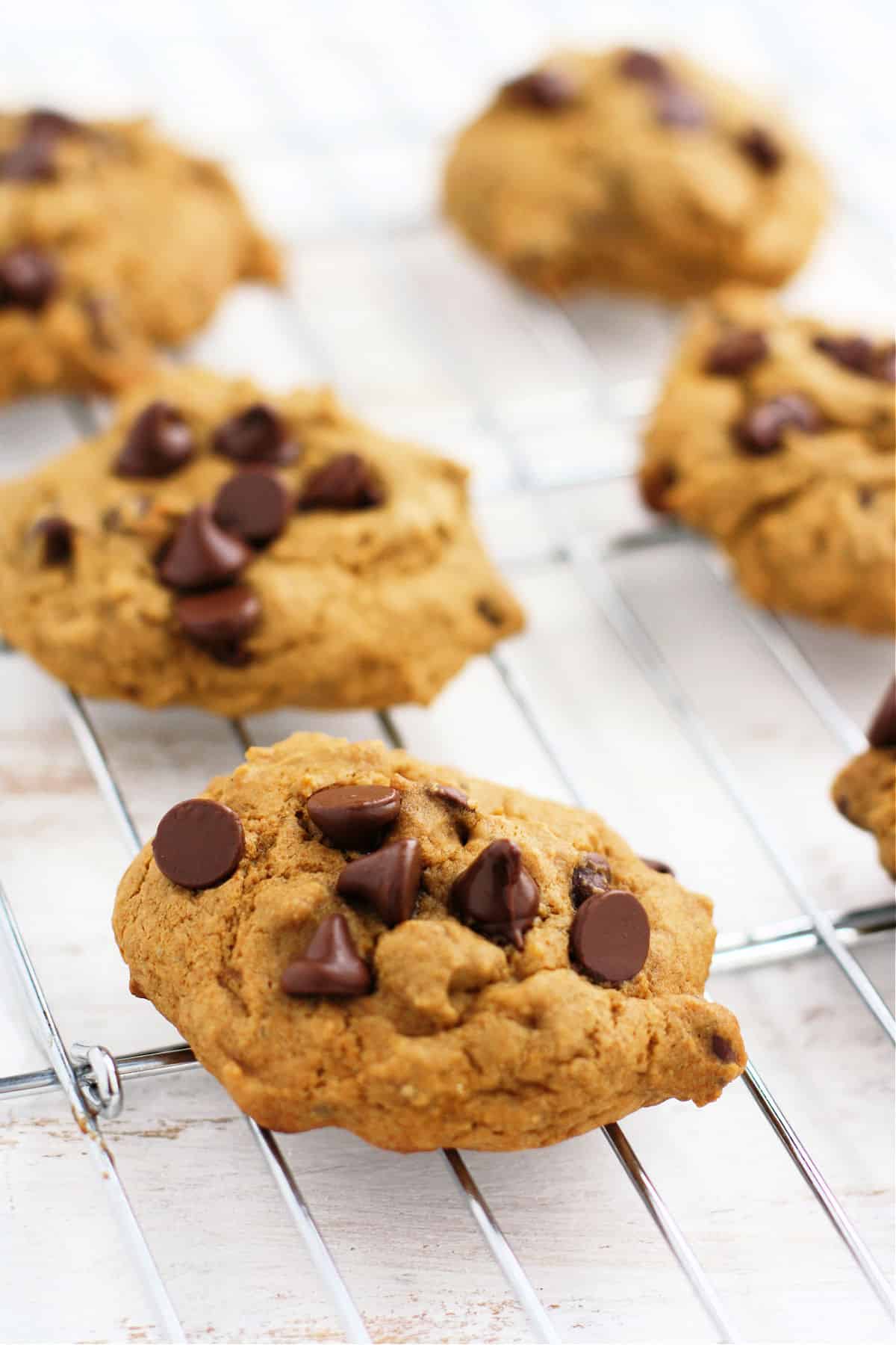 banana chocolate chip cookies