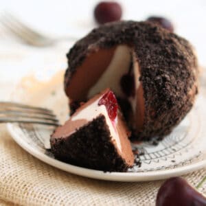 gluten free dairy free tartufo recipe