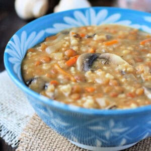 creamy dairy free lentil mushroom soup