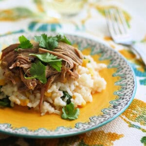 easy slow cooker pork carnitas