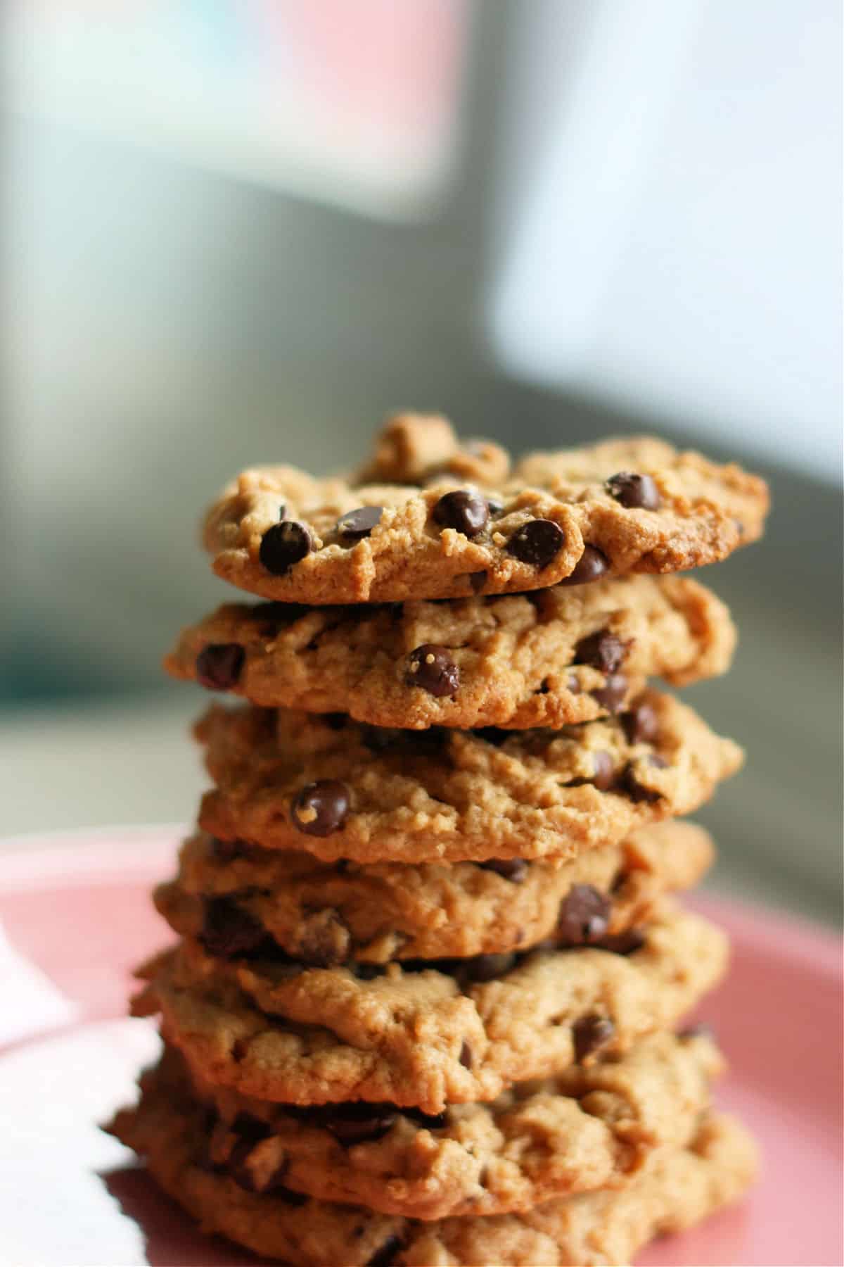 flourless peanut butter chocolate chip cookies