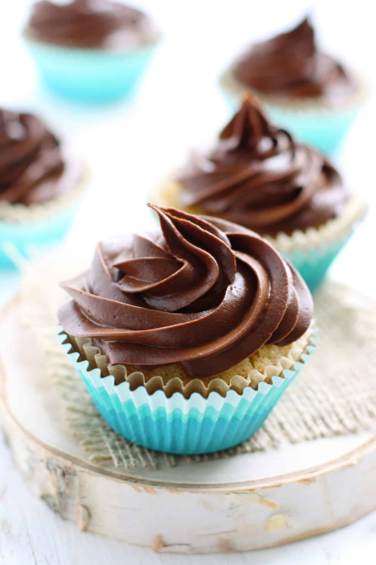 vanilla cupcakes with chocolate frosting