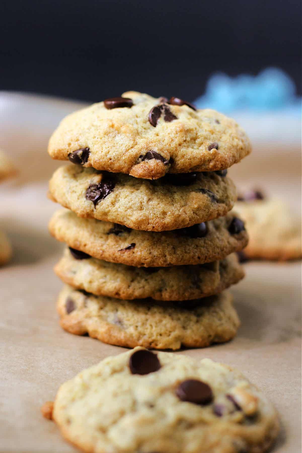 gluten free chocolate chip banana cookies