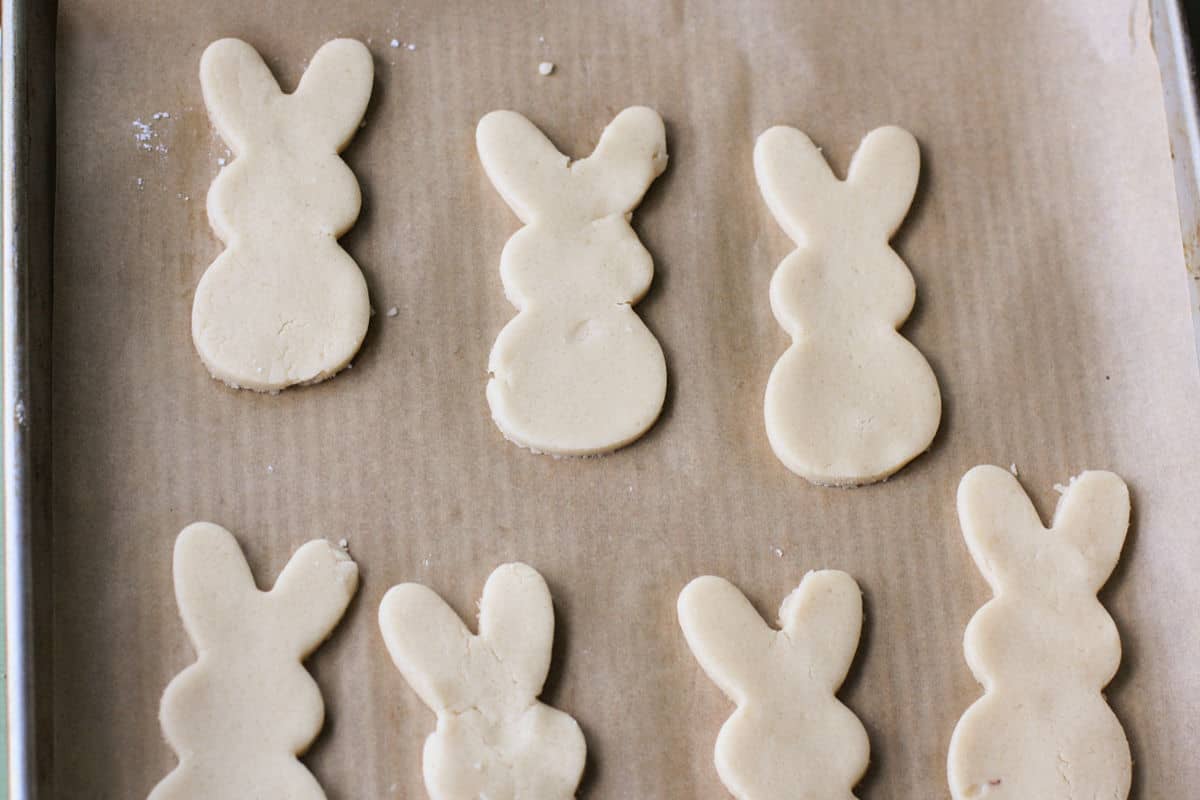bunny sugar cookies before baking